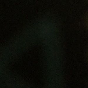 Meet your Posher, Maggie